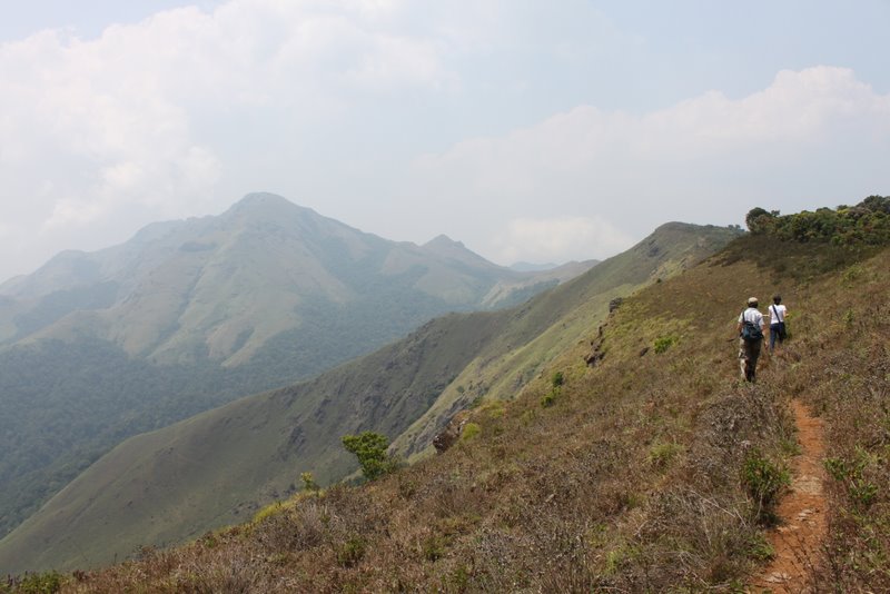 India 2010 - Coorg - Honey Valley - Trek towards Tadiandamol - Ridge Walk
